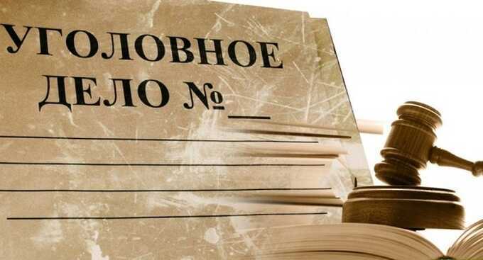 Школьное питание в Красноярске: добрались до уголовки