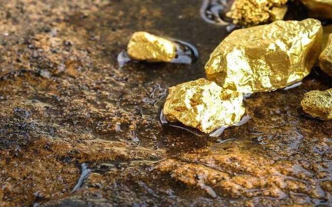 Фермер во Франции обнаружил на своём участке золото на 3,5 миллиарда евро